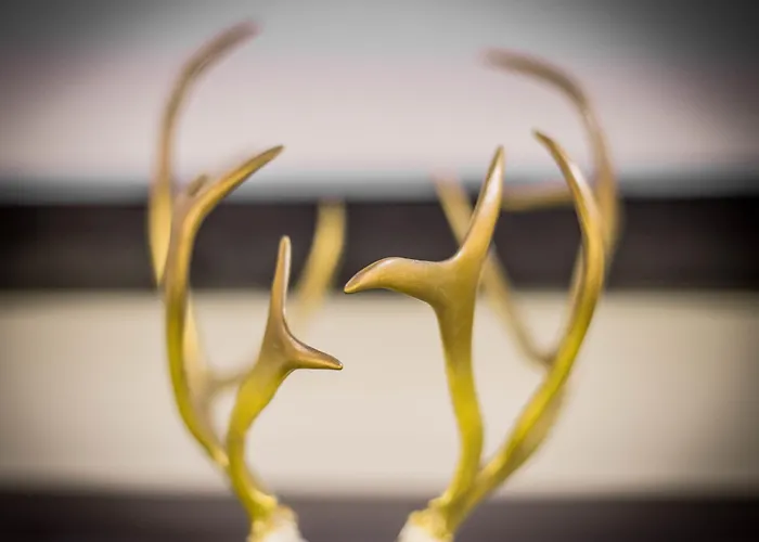 Hotell Lapland Tammerfors